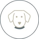 the dog in the olive + leo logo on a transparent background