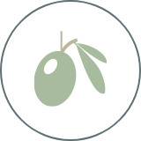 the olive in the olive + leo logo on a transparent background